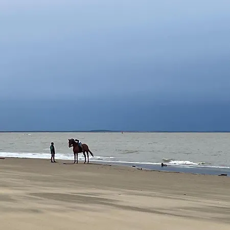 Mobilhome Ba234 - 3 Bedrooms Siblu Bonne Anse لا بالمير