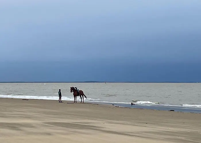 Mobilhome Ba234 - 3 Bedrooms Siblu Bonne Anse Les Mathes